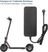 515dBQFZf9L._AC_SL1000_ CHRGEURE SCOOTER PRO 4